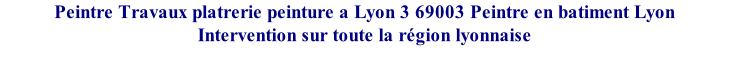 Peintre Travaux platrerie peinture a Lyon 3 69003 Peintre en batiment Lyon Intervention sur toute la région lyonnaise